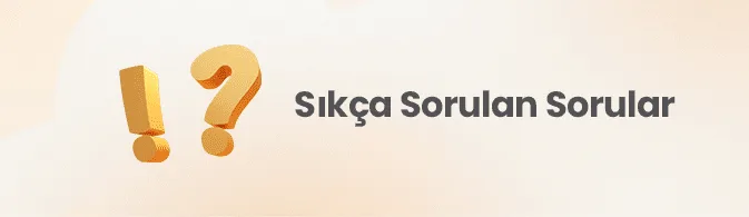 Dijital Lisans 31 Sikca Sorulan sorular