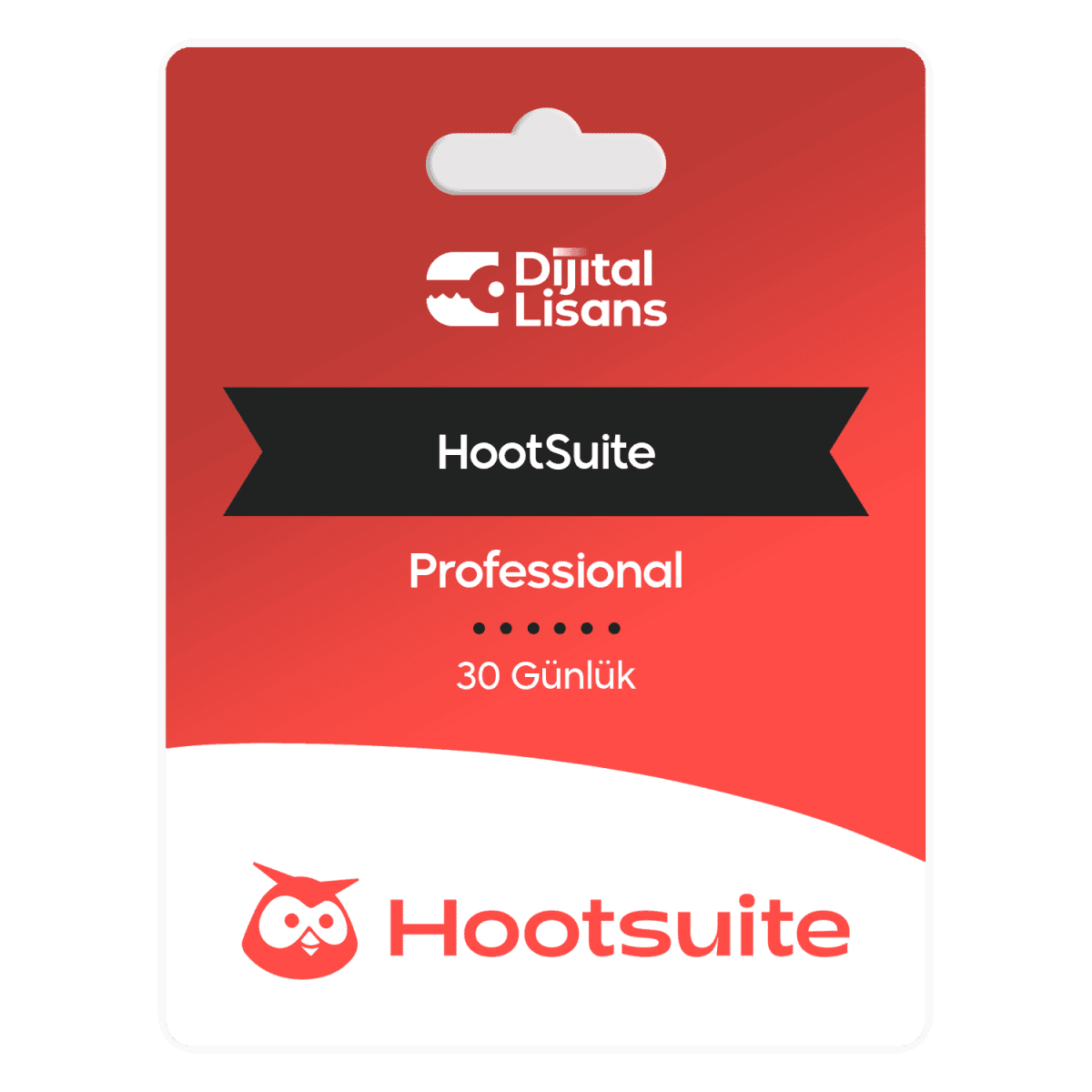 HootSuite Hootsuite Professional Plan Satın A