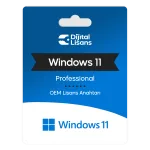 Windows 11 Professional Oem