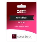 AdobeStock 4K Video