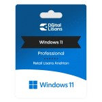 Windows 11 Professional Retail