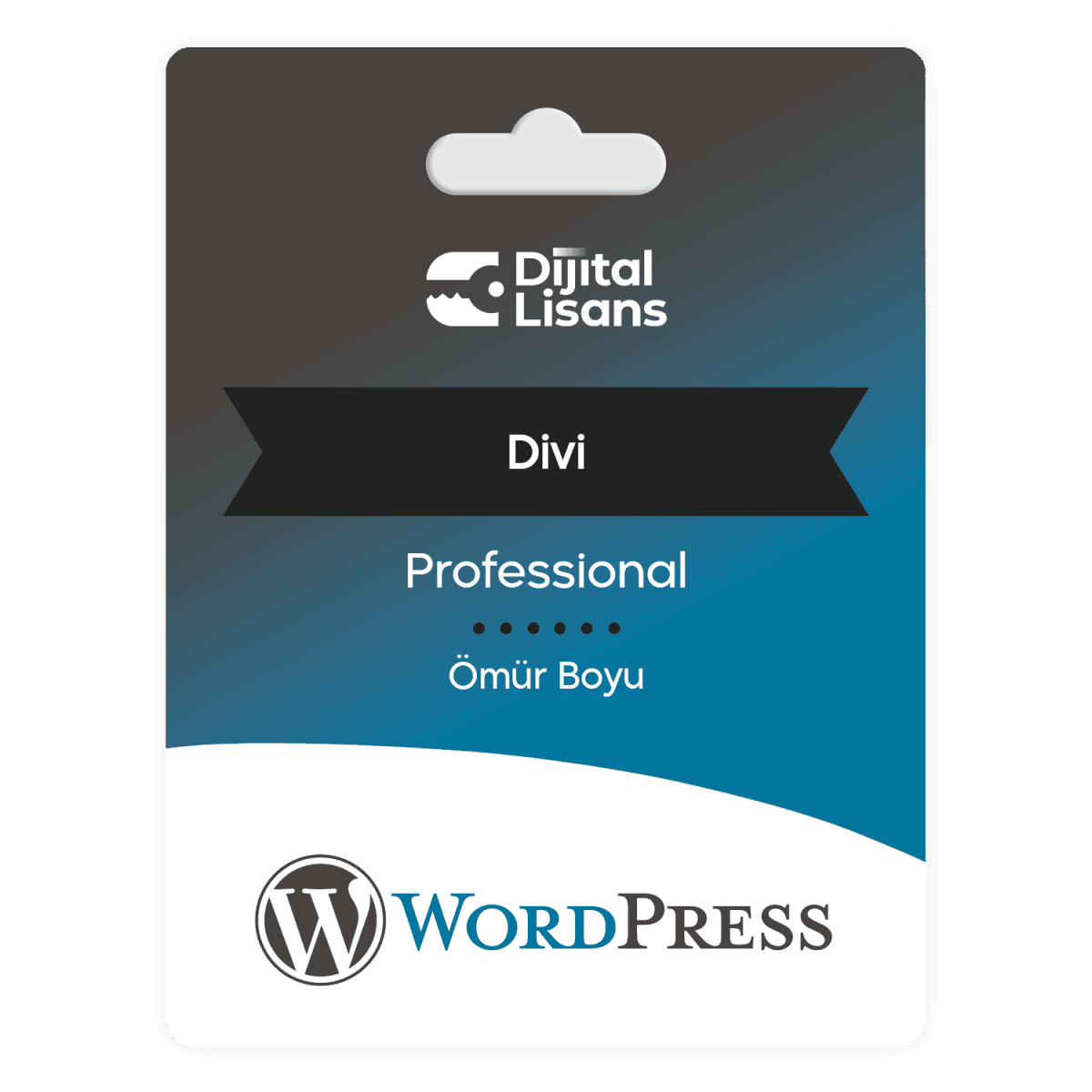 Wordpress-Divi Divi – Ömür Boyu